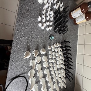 Sabrina heeft een foto van de aankoop toegevoegd