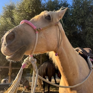 Lena added a photo of their purchase