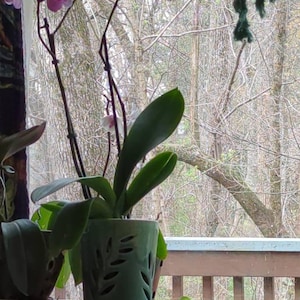 Deborah added a photo of their purchase