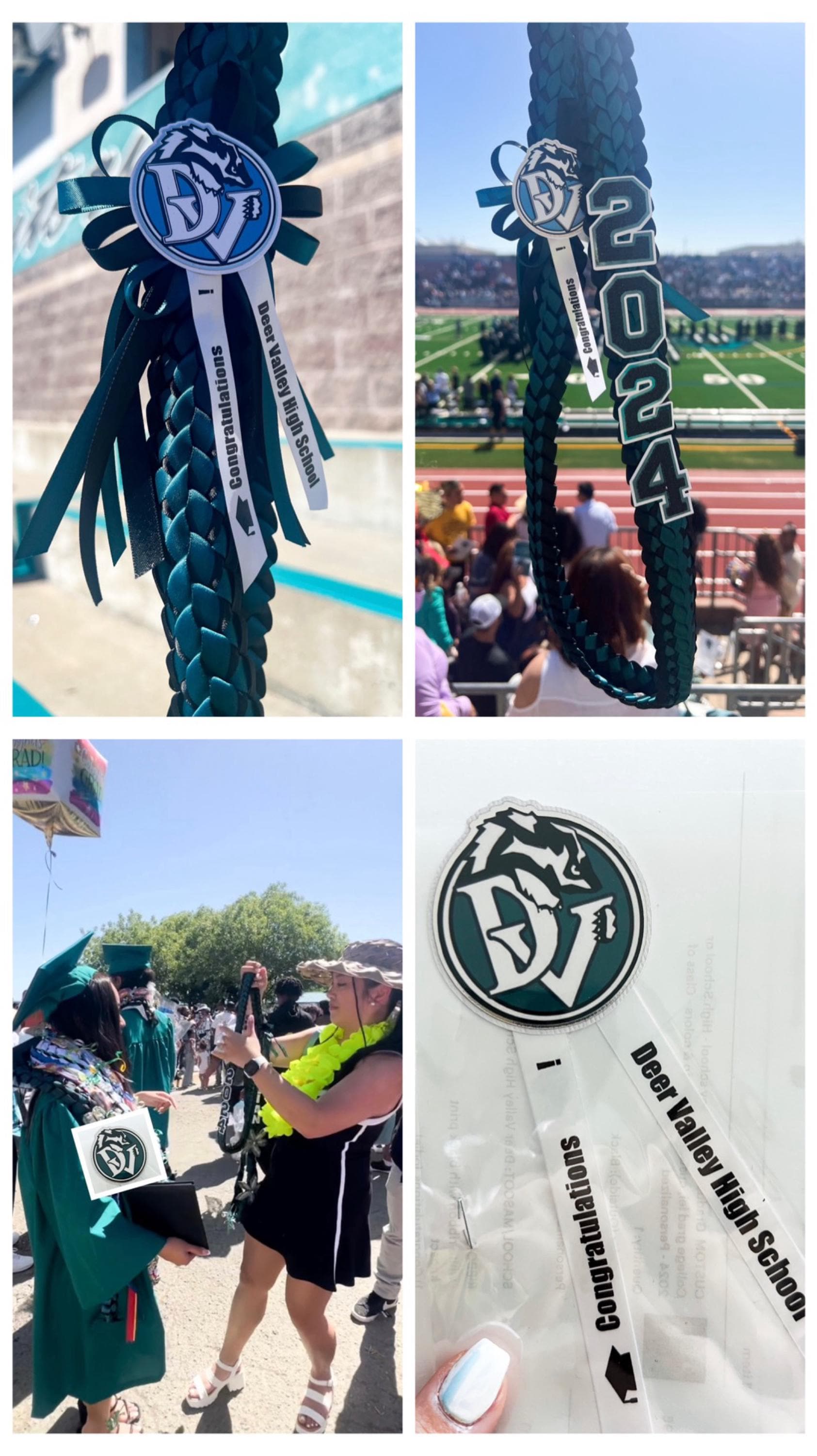 Abschluss-Lei - individuell an jedes College- oder Highschool-Logo und jede Highschool-Farbe angepasst - Personalisierter Lei, Klasse von 2025, Senior Night Lei