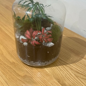 Emma a ajouté une photo de son achat