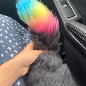 Jenifer added a photo of their purchase