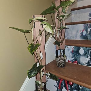 Julie added a photo of their purchase