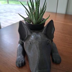 Susan added a photo of their purchase