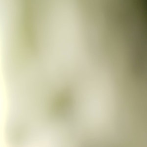 Troy ha aggiunto una foto del proprio acquisto