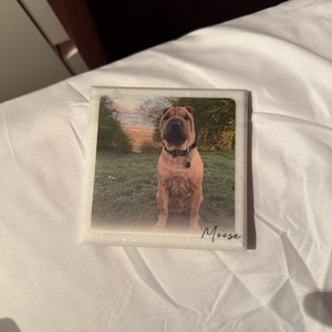 Amy さんが購入した商品の写真を追加しました