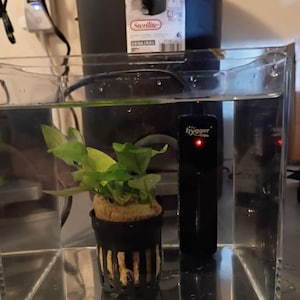 Amanda added a photo of their purchase