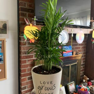Mike-Kayla added a photo of their purchase
