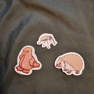 Niko さんが購入した商品の写真を追加しました