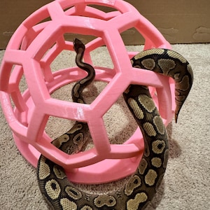 Lily added a photo of their purchase