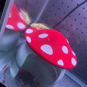 Keira added a photo of their purchase