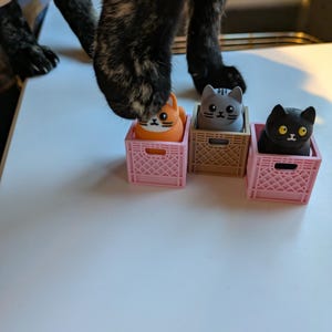 Morgan ha añadido una foto de su compra