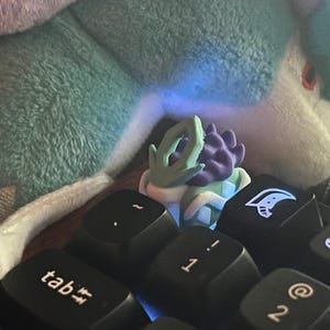 すざり added a photo of their purchase