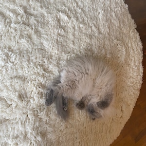 Amy ha añadido una foto de su compra