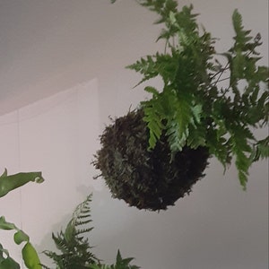 Traci added a photo of their purchase