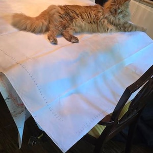 Eliza added a photo of their purchase