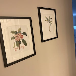 Ali hat ein Foto des gekauften Artikels hinzugefügt