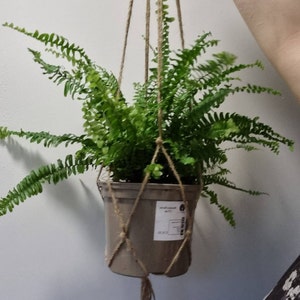 Rebecka added a photo of their purchase