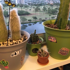 Rewa added a photo of their purchase