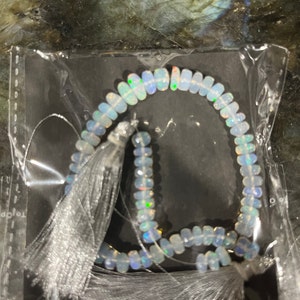 DobieGirl added a photo of their purchase