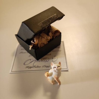 Mini Bottiglie Birra Corona In Miniatura 1:6 Per Casa Delle Bambole - Set Con Scatole