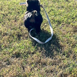 Cindy added a photo of their purchase