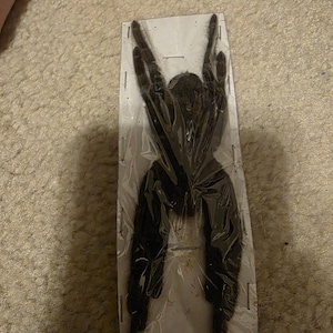 Emily added a photo of their purchase