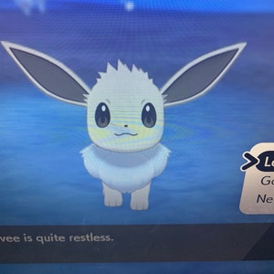 Pokemon Sword And Shield Cute Shiny Eevee Just Hatched Etsy