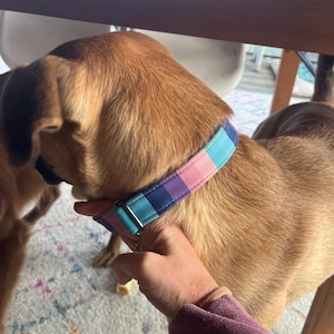 Haley added a photo of their purchase