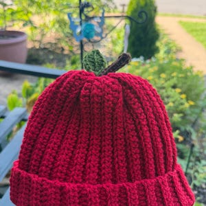 Lizeth added a photo of their purchase