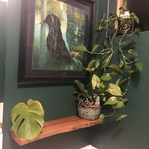 Lara added a photo of their purchase