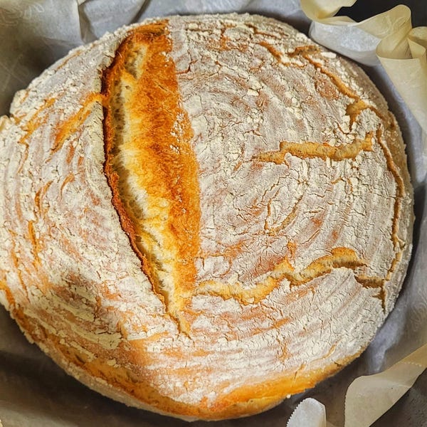 Dark Rye Sourdough Starter Yeast Famly Herloom - Etsy