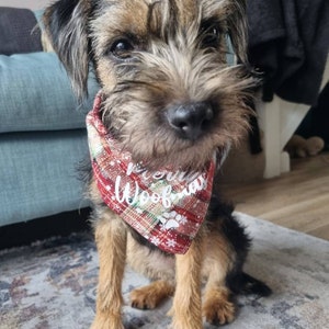 Hazel added a photo of their purchase
