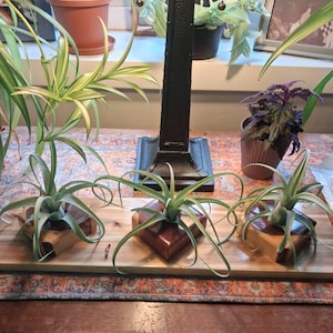Dennis added a photo of their purchase