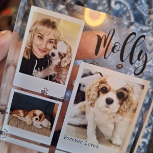 Nicola a ajouté une photo de son achat