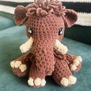 Haley added a photo of their purchase