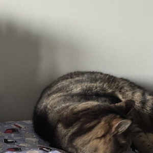 Tina-Marie heeft een foto van de aankoop toegevoegd