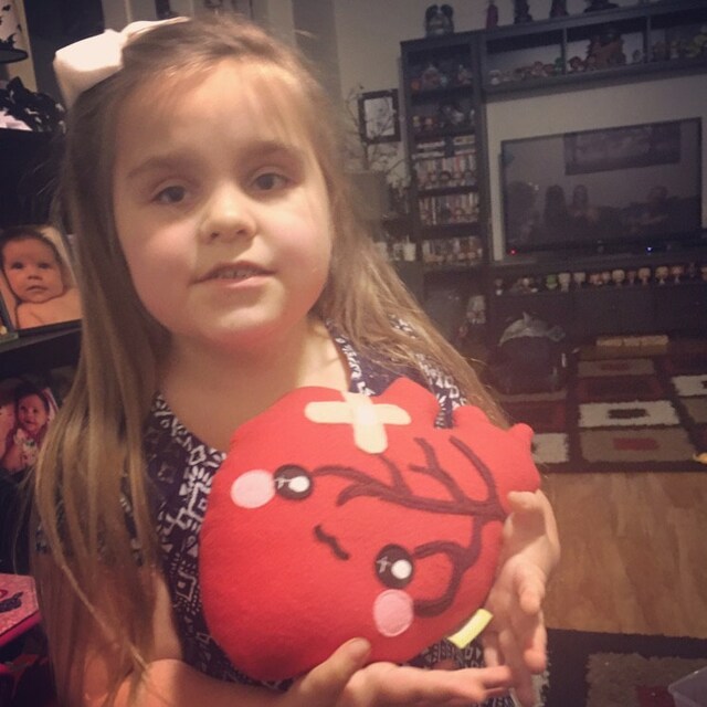Anatomically correct heart plush toy Etsy