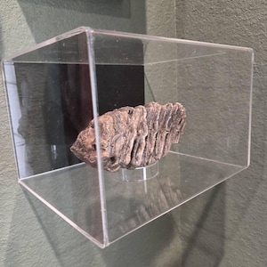 Jason adicionaram uma foto da sua compra