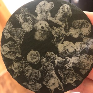 Tracy heeft een foto van de aankoop toegevoegd
