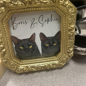 Madalyn added a photo of their purchase