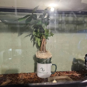 Taryn added a photo of their purchase