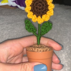 Sasha added a photo of their purchase