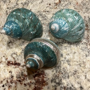 Abby added a photo of their purchase