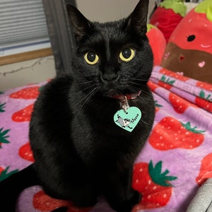 Molly added a photo of their purchase