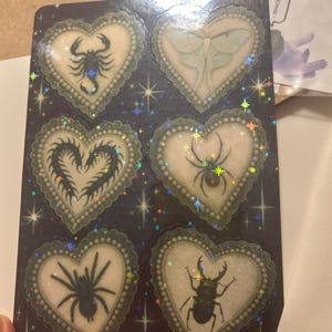 Maria added a photo of their purchase