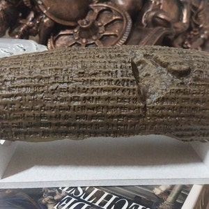 Massinissa added a photo of their purchase