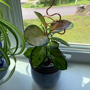 Marianne added a photo of their purchase