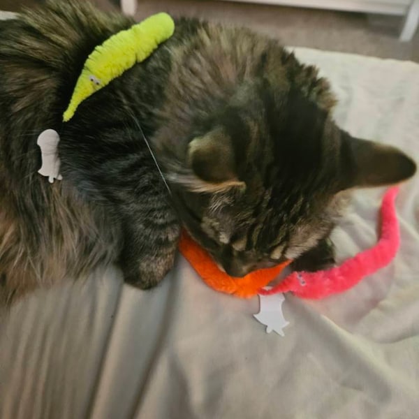 Worms, Magical Worms, Wormies, Worms on a String, Silly Worms, Colorful ...