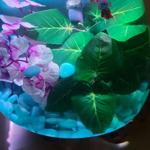 流木付き特大溶融ガラス製ベタ用水槽：バリ風アクアスケープ 12～14